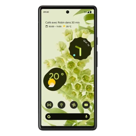 Google Pixel 6 128 Go vert reconditionné - 2