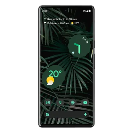 Google Pixel 6 Pro 128 Go noir reconditionné - 2