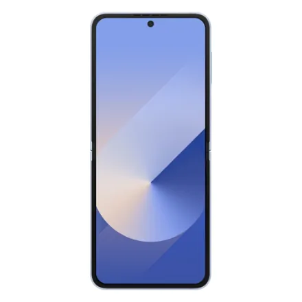 Galaxy Z Flip6 (dual sim) 512 Go bleu reconditionné - 3