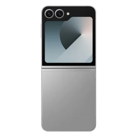 Galaxy Z Flip6 (dual sim) 256 Go gris reconditionné - 4