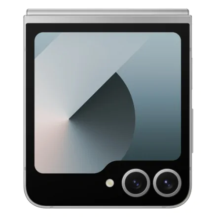 Galaxy Z Flip6 (dual sim) 512 Go gris reconditionné - 5