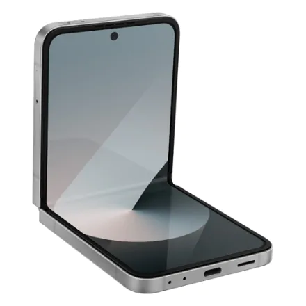 Galaxy Z Flip6 (dual sim) 256 Go gris reconditionné - 1