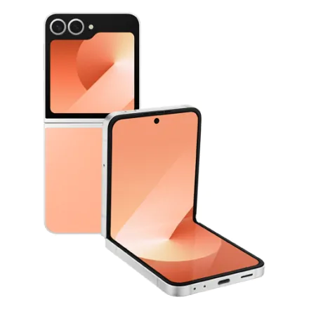 Galaxy Z Flip6 (dual sim) 512 Go rose reconditionné - 2