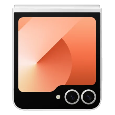 Galaxy Z Flip6 (dual sim) 512 Go rose reconditionné - 5