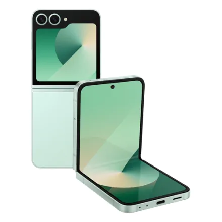 Galaxy Z Flip6 (dual sim) 256 Go vert reconditionné - 2