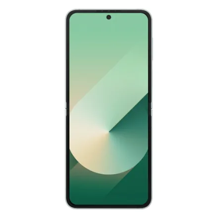 Galaxy Z Flip6 (dual sim) 256 Go vert reconditionné - 3