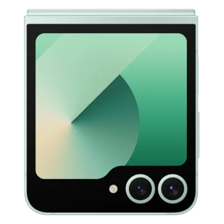 Galaxy Z Flip6 (dual sim) 256 Go vert reconditionné - 5
