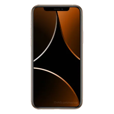 iPhone 11 Pro Max 256 Go or reconditionné - 2