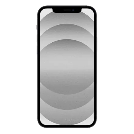 iPhone 12 256 Go noir reconditionné - 2