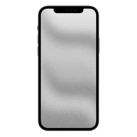 iPhone 12 Mini 256 Go noir reconditionné - 2