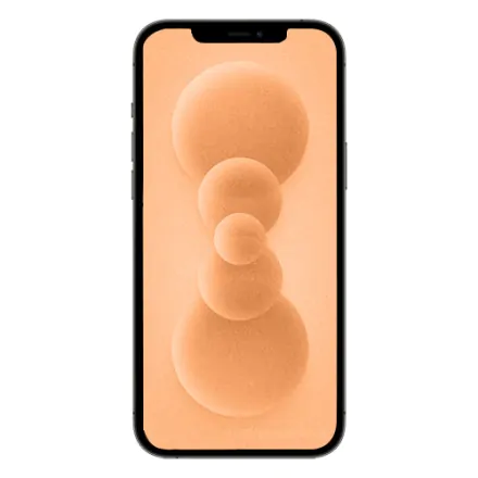 iPhone 12 Pro 256 Go or reconditionné - 2