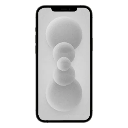 iPhone 12 Pro 256GB grafiet refurbished - 2