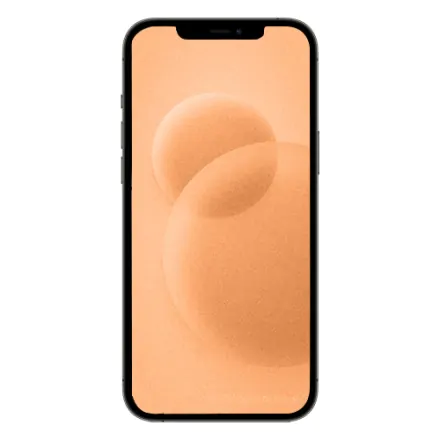 iPhone 12 Pro Max 128 Go or reconditionné - 2