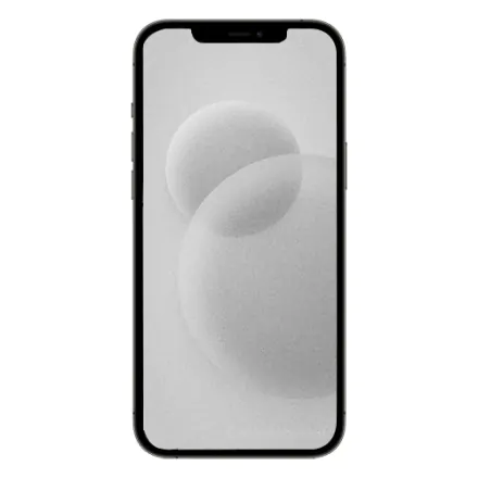 iPhone 12 Pro Max 256 Go graphite reconditionné - 2