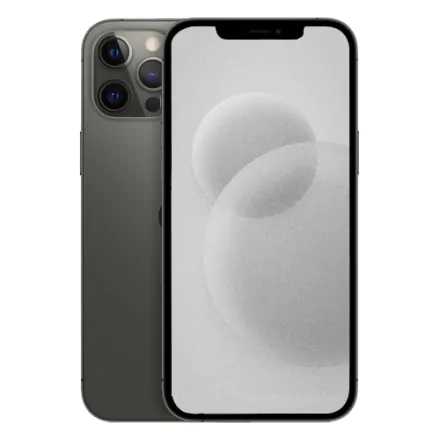 iPhone 12 Pro Max 256 Go graphite reconditionné - 1