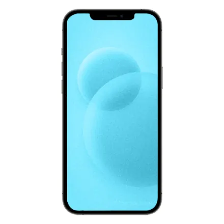 iPhone 12 Pro Max 512 Go argent reconditionné - 2