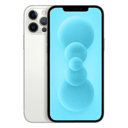 iPhone 12 Pro 256 Go argent reconditionné - 1