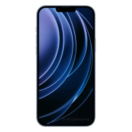 iPhone 13 Pro Max 512 Go bleu alpin reconditionné - 2