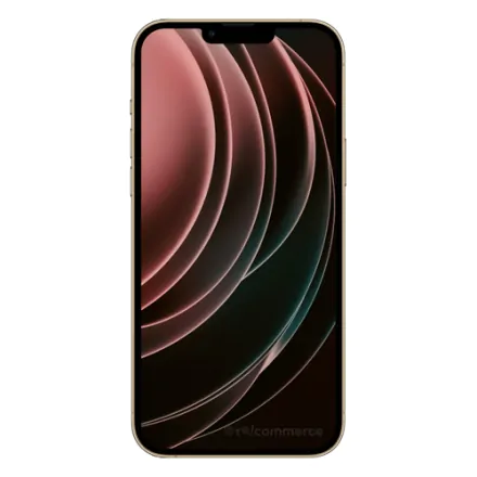 iPhone 13 Pro Max 256 Go or reconditionné - 2