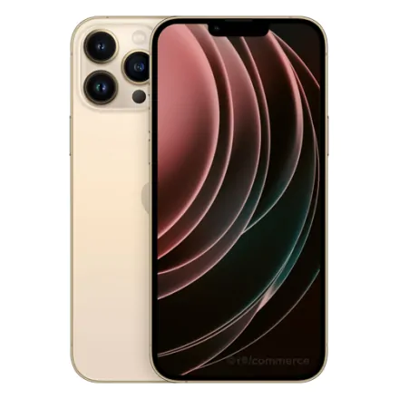 iPhone 13 Pro Max 256 Go or reconditionné - 1