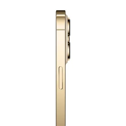 iPhone 13 Pro Max 256 Go or reconditionné - 3