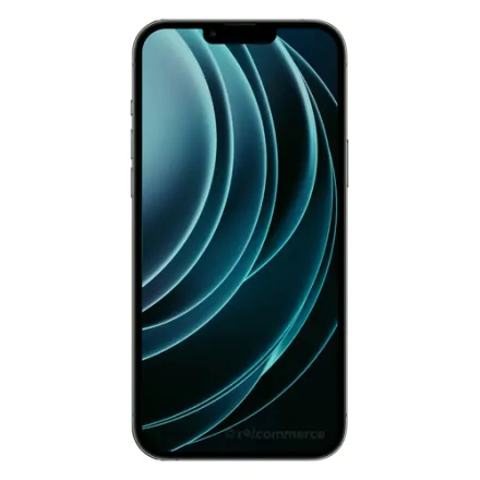 iPhone 13 Pro Max 256 Go vert alpin reconditionné - 2