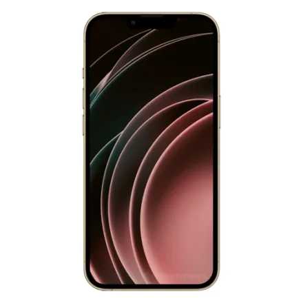 iPhone 13 Pro 128 Go or reconditionné - 2