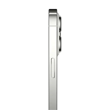 iPhone 13 Pro 1TB zilver refurbished - 3