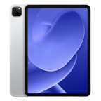 iPad Pro 11 (2021) Wi-FI + 4G 256 Go argent reconditionné