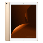 iPad Pro 12.9 (2017) Wi-Fi 256GB goud refurbished